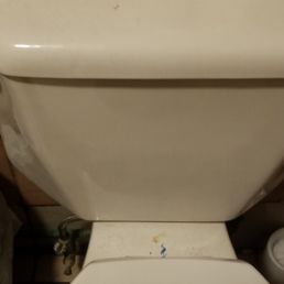 Disgusting, urine stained, covered in pubic hair and dust. Looks as though it hasn't been cleaned in weeks. Disgusting, urine stained, covered in pubic hair and dust. Looks as though it hasn't been cleaned in weeks.