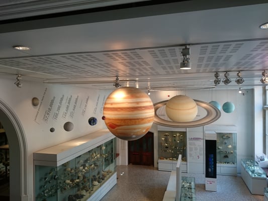 Manchester Museum by null