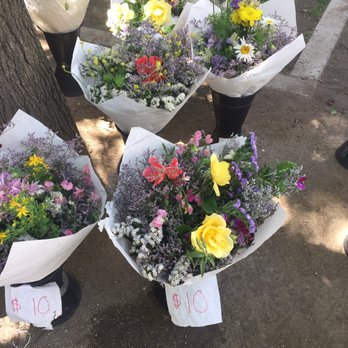 Cesar Chavez Plaza - Parks Near Me - Sacramento, California