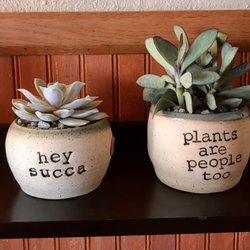 Cactus Moon - I had to buy one of these.