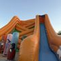 The Pumpkin Patch