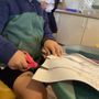 Photo of Angels Montessori Pre-School