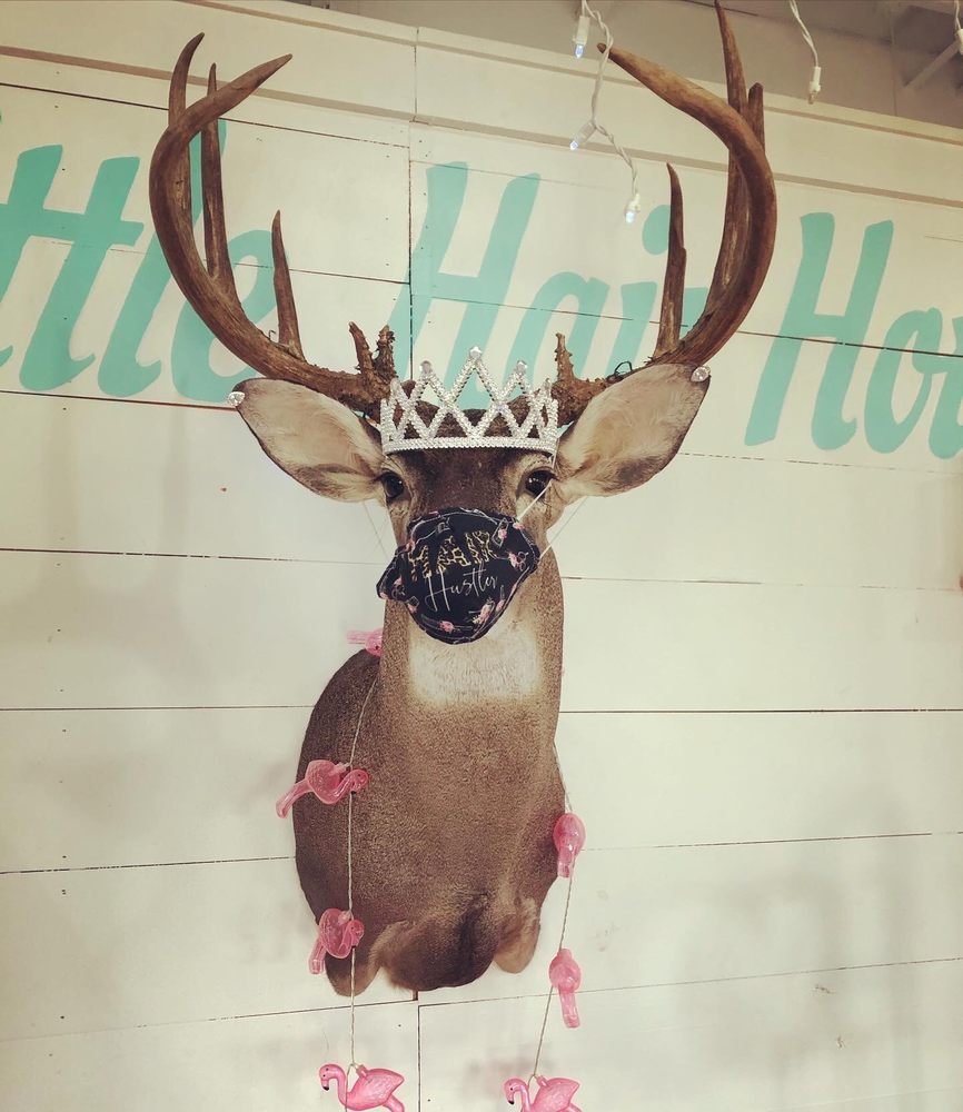 THE BEST LITTLE HAIR HOUSE IN TEXAS Updated July 2024 56 Photos