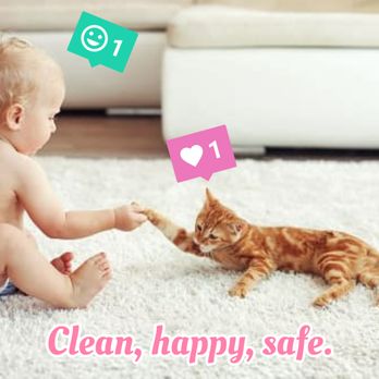 Recov Carpet Cleaning & Services - Clean, happy, safe - Carpet Cleaning Near Me - San Diego, California Recov Carpet Cleaning & Services - Clean, happy, safe - Carpet Cleaning Near Me - San Diego, California