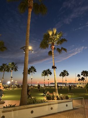 Nobu Del Coronado by null