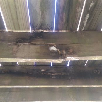 Meyer Vacation Rentals - Broken beams under the deck. Rotten all the way through. - Vacation Rentals Near Me - Gulf Shores, Alabama Meyer Vacation Rentals - Broken beams under the deck. Rotten all the way through. - Vacation Rentals Near Me - Gulf Shores, Alabama