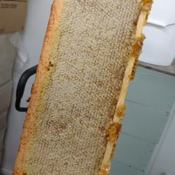 Hoffman's Honey