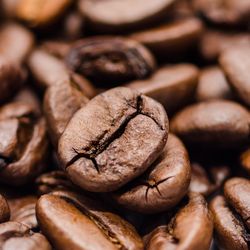 Panther Coffee Beans