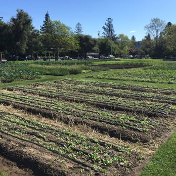 TFL Garden - Farms Near Me - Yountville, California