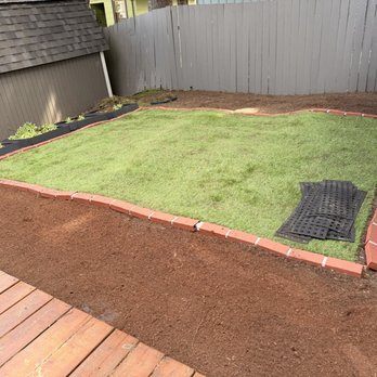 NW Yard Services - Weed removal in UW - Tree Services Near Me - Shoreline, Washington NW Yard Services - Weed removal in UW - Tree Services Near Me - Shoreline, Washington