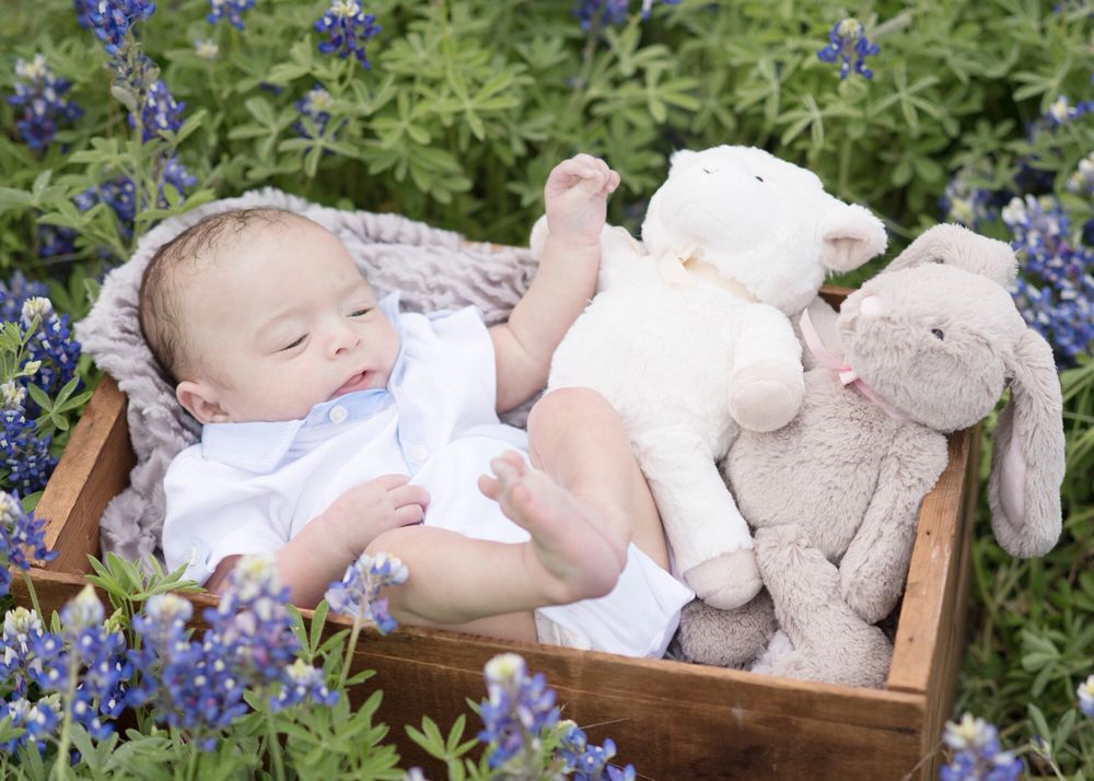 ERIN ELIZABETH PHOTOGRAPHY Austin, Texas Session Photography