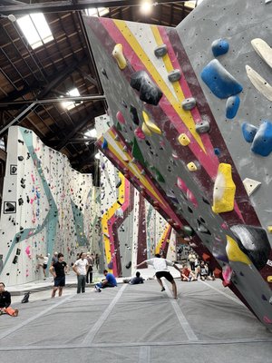 Pacific Pipe by null