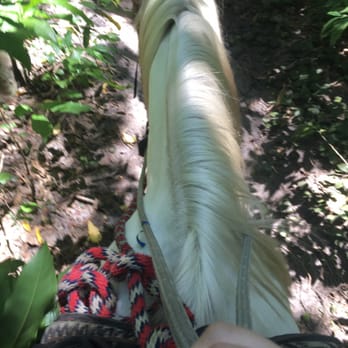 Bar-B-Ranch - Justice - Horseback Riding Near Me - Davie, Florida Bar-B-Ranch - Justice - Horseback Riding Near Me - Davie, Florida