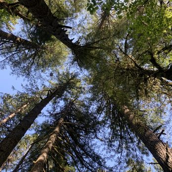 Silver Falls State Park - Hiking Near Me - Sublimity, Oregon Silver Falls State Park - Hiking Near Me - Sublimity, Oregon