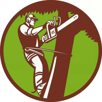Rob and Tiffanys Tree Service - Tree Services Near Me Rob and Tiffanys Tree Service - Tree Services Near Me