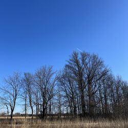 Glacier Ridge Metro Park