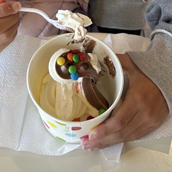 Delicious Yogurt - Ice Cream & Frozen Yogurt Near Me - Roslindale, Massachusetts Delicious Yogurt - Ice Cream & Frozen Yogurt Near Me - Roslindale, Massachusetts