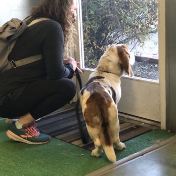 All Creatures Veterinary Clinic - Veterinarians Near Me - Fresno, California
