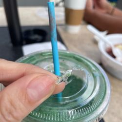 Driftwood Kava & Roastery St. Pete