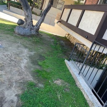 Angel's Gardening Services - Before - Gardeners Near Me - Pasadena, California Angel's Gardening Services - Before - Gardeners Near Me - Pasadena, California