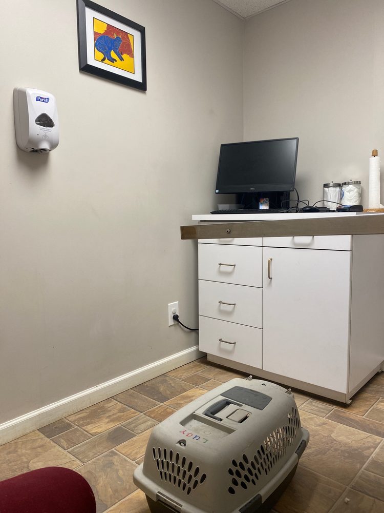 ROAD ANIMAL HOSPITAL Updated July 2024 27 Reviews