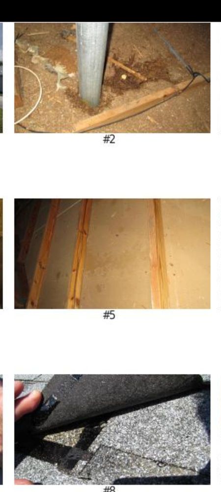 Slide of Citrus Contracting