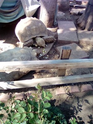 Baldwin Park Congregate Home 3462 Vineland Ave Baldwin Park Ca Home Health Service Mapquest