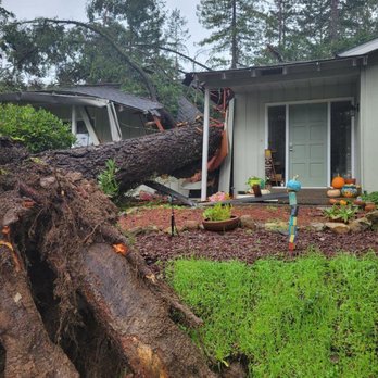 Signature Tree Solutions - Tree Services Near Me - St. Helena, California Signature Tree Solutions - Tree Services Near Me - St. Helena, California