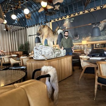 Wren & Wolf - View from our table - Cocktail Bars Near Me - Phoenix, Arizona