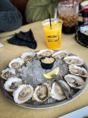 Ropewalk Ocean City by null