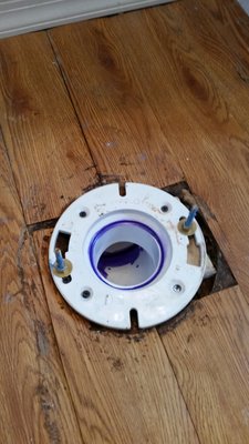 The Friendly Plumber Logo