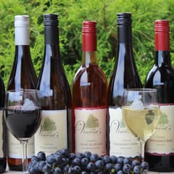 Vincent's Vineyard