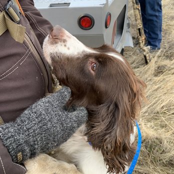 Ruggs Ranch - Let's go! - Wildlife Hunting Ranges Near Me - Heppner, Oregon
