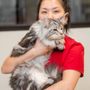 Photo of Sunnyside Pet Hospital