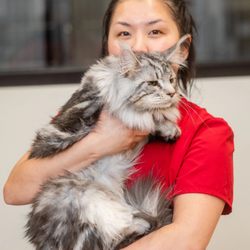 Sunnyside Pet Hospital