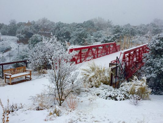 Santa Fe Botanical Garden by null