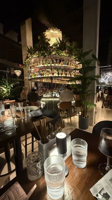V Modern Italian by null