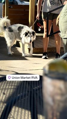 Union Market by null