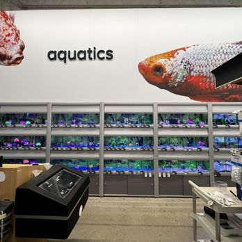 PetSmart - New aquatics area - Pet Groomers Near Me - Houston, Texas