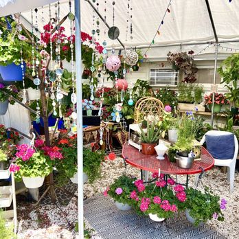 Sunshine Joe’s Coffee Shop - The shed flower shop - Coffee & Tea Near Me - Largo, Florida