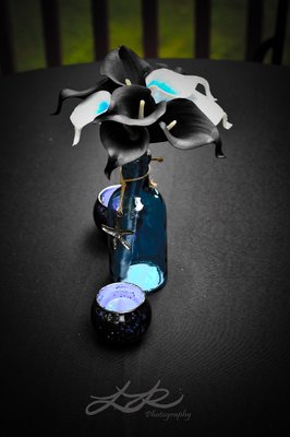 New York Institute of Photography by null