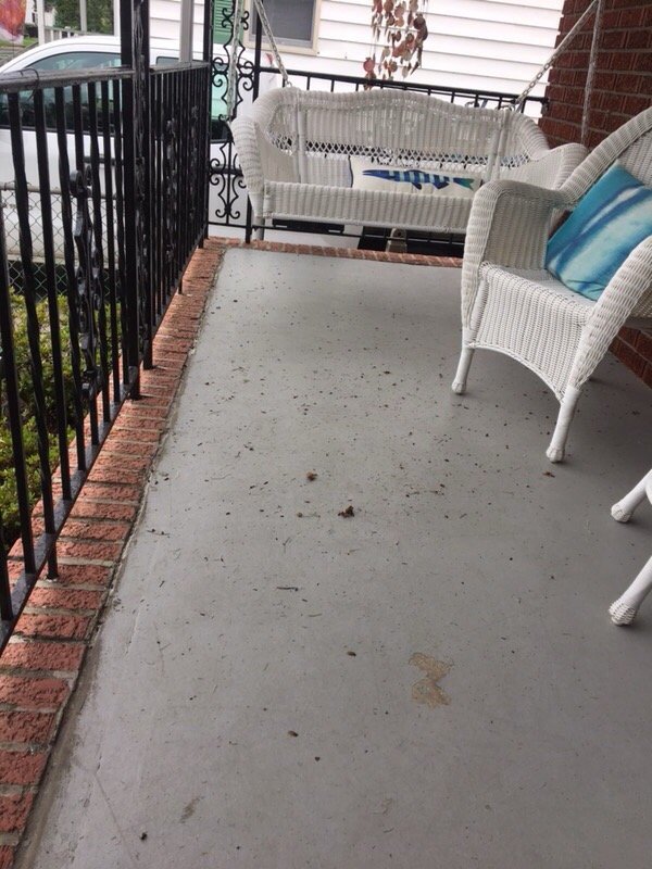 DALTONS LAWN CARE Updated August 2024 Delran, New Jersey Snow