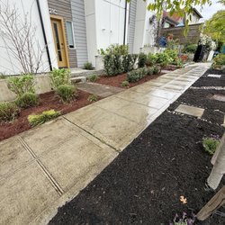 City Landscaping - Front yard.