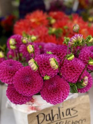 Issaquah Farmers Market by null
