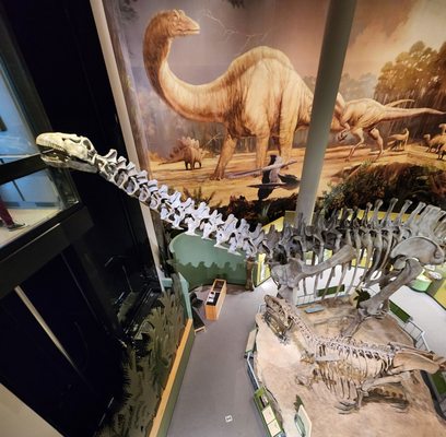 Sam Noble Oklahoma Museum of Natural History by null
