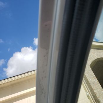 The Wax Shack - Auto Detailing Near Me - Austin, Texas The Wax Shack - Auto Detailing Near Me - Austin, Texas