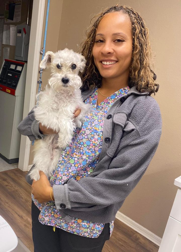 URGENT PAWS VET CLINIC Updated September 2024 1329 W Fletcher Ave