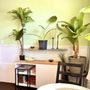 Photo of Islands West Smoothies