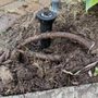 Photo of Affordable Sprinklers