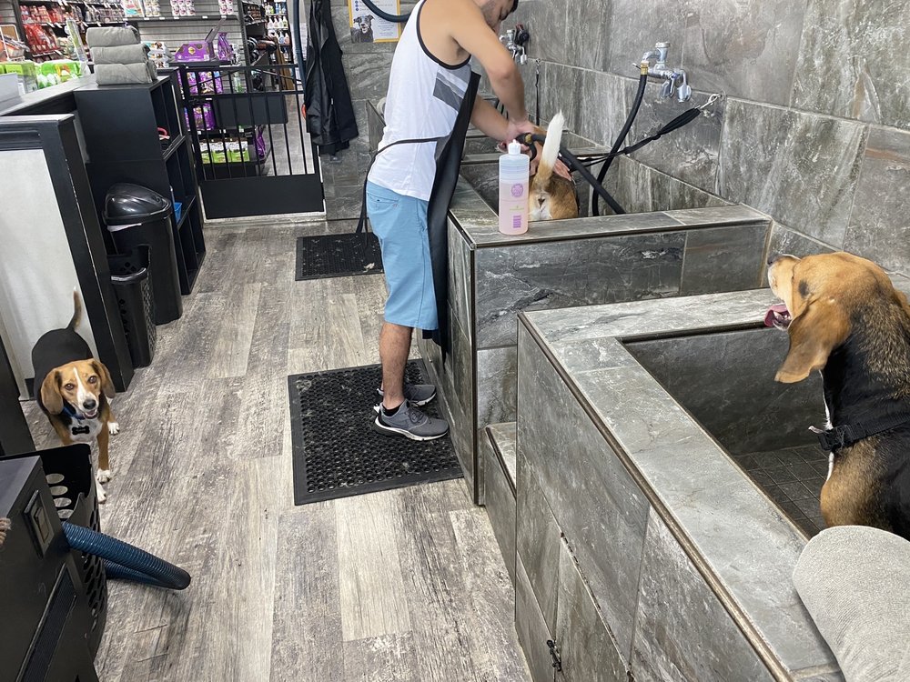 Pet Supermarket Image